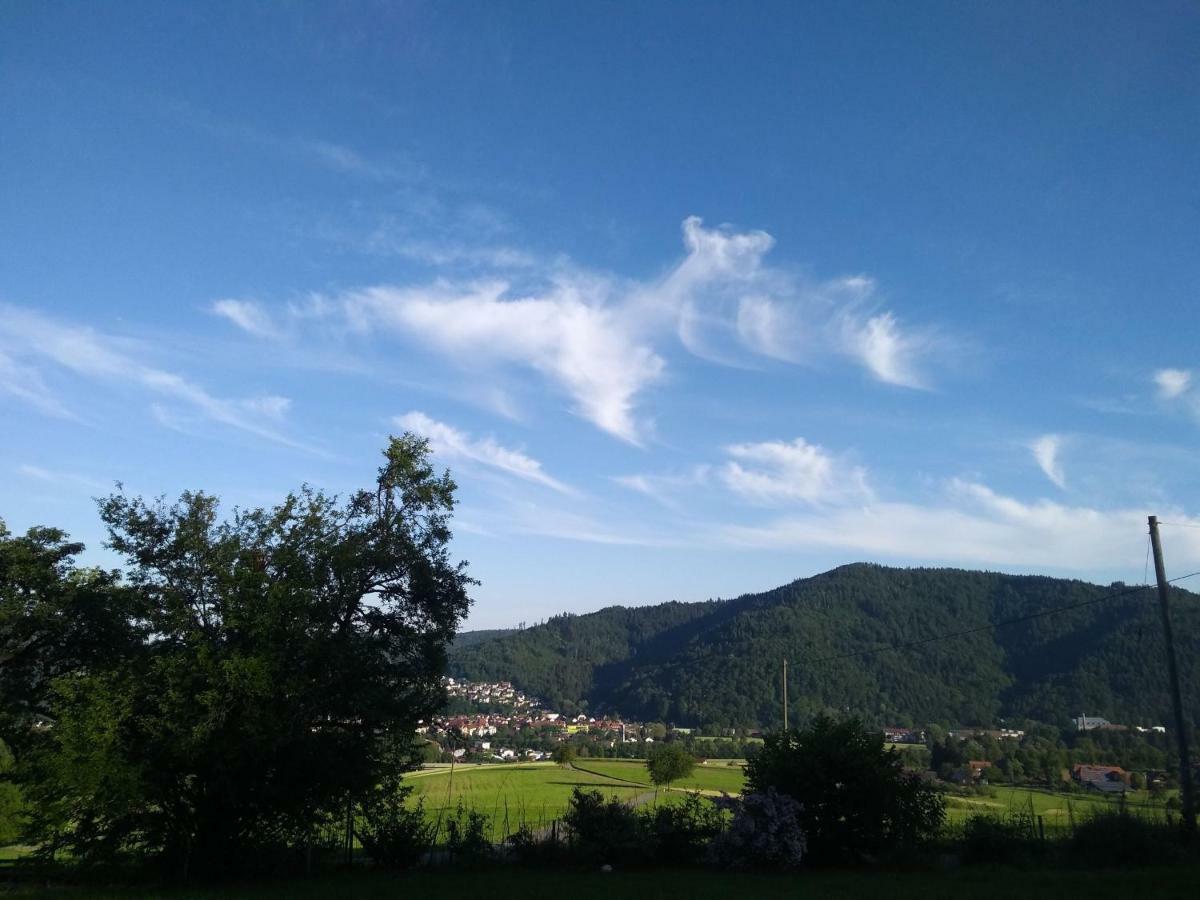 Ferienwohnung Am Eichbuehl Waldkirch Eksteriør billede