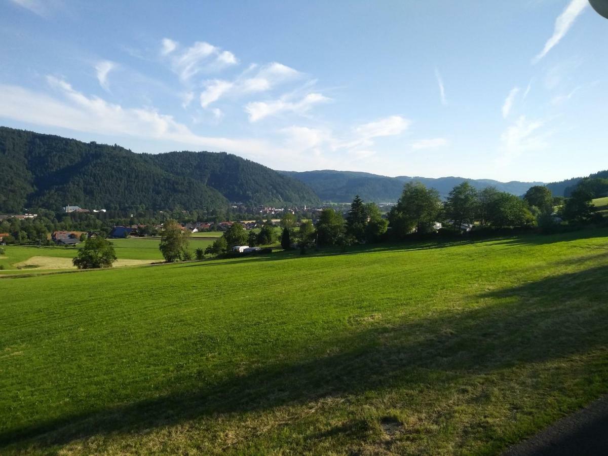 Ferienwohnung Am Eichbuehl Waldkirch Eksteriør billede
